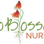 Eco Blossom Nursery e-gift card